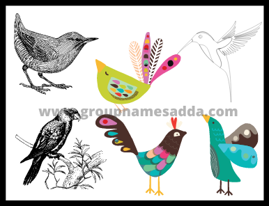 Names for groups of birds list