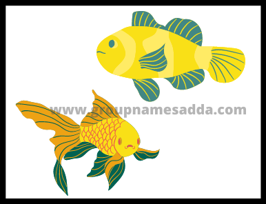 Goldfish Names Ideas